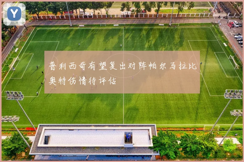 普利西奇有望复出对阵帕尔马拉比奥特伤情待评估