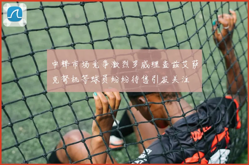 中锋市场竞争激烈罗威理查兹艾萨克弩机等球员纷纷待售引发关注