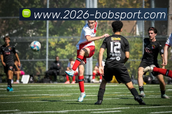 BOB体育发展历程